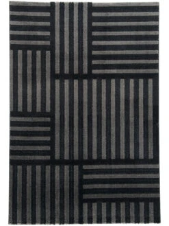 Titelseite -Deline Verkäufe Rieseby ModernerTeppich Dunkelgrau Anthrazit 160x230 pla