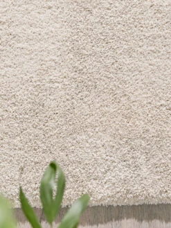 Titelseite 3 Titelseite -Deline Verkäufe Sensation HochflorTeppich creme cream 160x230 spar